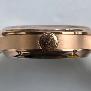 Đồng Hồ IWC Schaffhausen Anual Calendar Fake Cao Cấp Nhất 44mm (2)